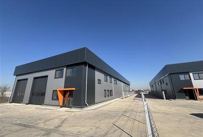 Vanzare depozit/hala/spatiu industrial Chitila - Centura - Rudeni - 2