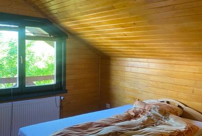 Casa de inchiriat 240mp utili, Zona Grigorescu - 6