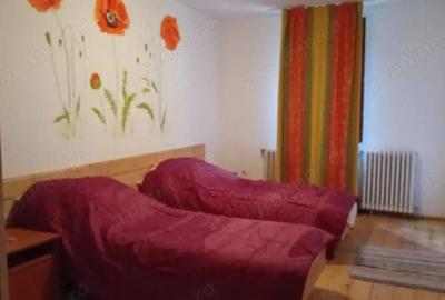 Casa de vacanta Crivaia, langa Valiug locatie idilica, ideala pentru timp liber - 5