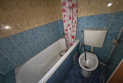 Garsonieră semidecomandată în Dumbrăvița - 6