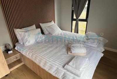 Gaminvest,Afacere de 4 stele de vanzare in Vadul Crisului, Bihor, Romania,V4254 - 5