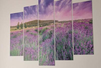 Apartament cu 2 camere decomandat în Roșu - 7