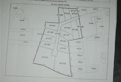 Teren de 700 mp, în Uricani - 1
