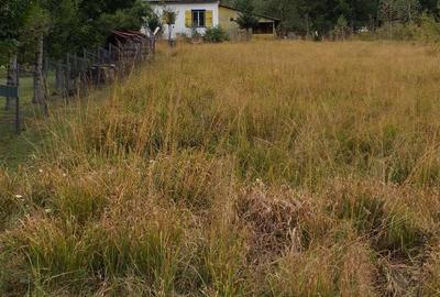 Casă cu 2 camere în Remeți - 1