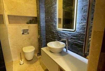 STUDIO-CENTRALA-PROPRIE-PARTER-INALT-TINERETULUI - 10