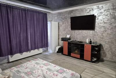 Casă cu 5 camere cu Teren 2850 Mp în Aradul Nou - 7