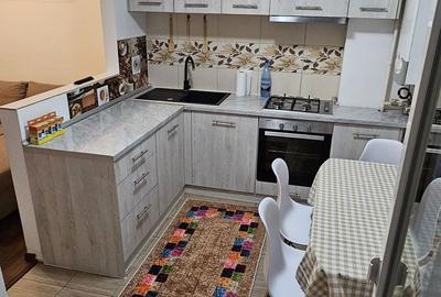 Apartament cu 2 camere decomandat în Dealu Mare - 6