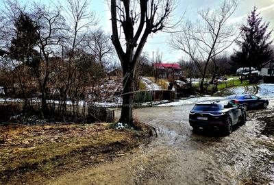 Teren Construcții de 3948 mp, în Provița de Sus - 12