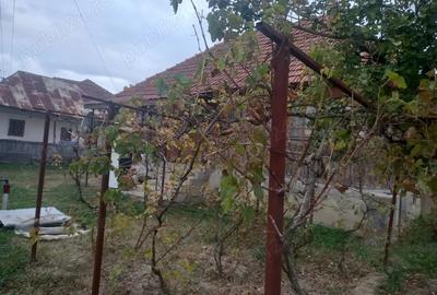 Casă cu 4 camere în Grădiștea - 1