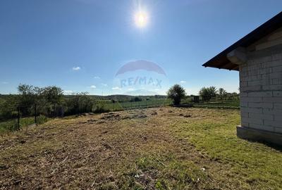 Casa Pielesti Teren 1624 mp - 4