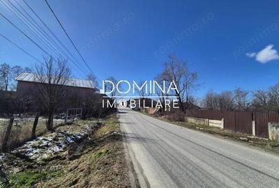 Teren de 6504 mp, în Curtișoara - 2