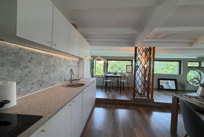 Apartament cu 4 camere decomandat, mobilat în Iancu Nicolae - 11
