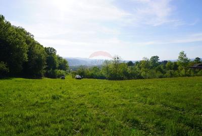 Teren Construcții intravilan de 33137 mp, în Sud-Vest - 5