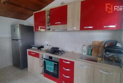 Casa individuala 3 camere, Sacalaz- Cabana cu Semineu - 1