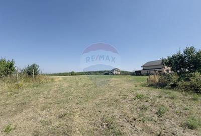 Teren Construcții intravilan de 2841 mp, în Apateu - 15