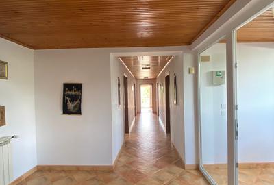 Casă individuală cu 9 camere cu Canalizare în Roșu - 16