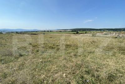 Teren extravilan Criseni, 3800 mp - 1