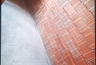 Casă cu 5 camere în Săveni - 2