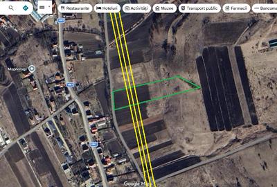 Teren agricol extravilan de 9000 mp, în Baciu - 2