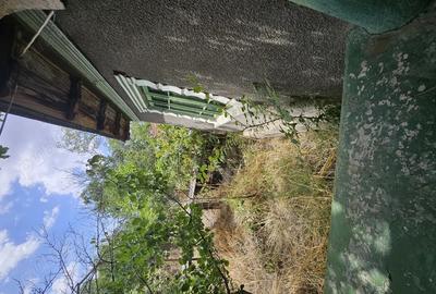 Gospodarie cu 2 case Comuna Trivale Mosteni, sat , la 30 km de Alexandria, jude?ul Teleorman - 7