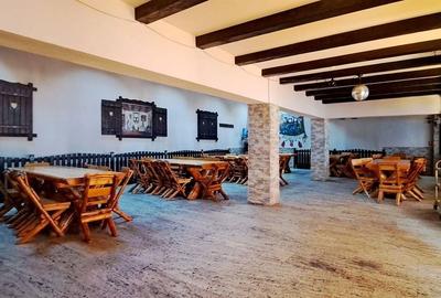 Pensiune deosebita, locuri de cazare, restaurant, pizzerie si spatii comerciale - 3