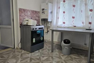 Casă cu 2 camere cu Teren 780 Mp în Simeria - 5
