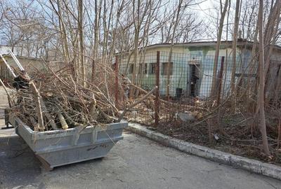 Teren eforie nord  719 mp si parter construit 388 mp - 1