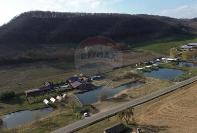 Teren de 7000 mp, în Hoghilag - 2