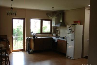 2 cam Mihalache 315 proprietar - 2