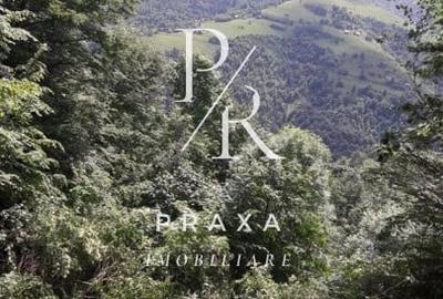 Teren Construcții extravilan de 10000 mp, în Măguri-Răcătău - 5