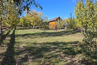 Casă cu 5 camere cu Teren 7017 Mp în Pruni - 9