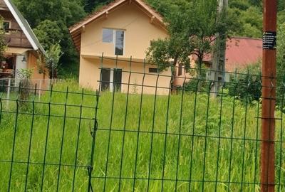 CASA DE VACANTA MUNTELE MIC - BORLOVA  CS. TEL.0736466794