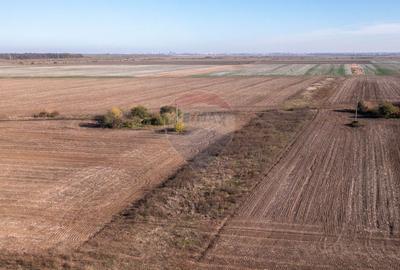 Vanzare teren intravilan 7,400 mp Sabareni / Strada Primaverii - 12