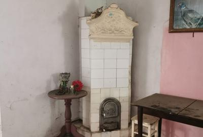 Casa aritectura neoromaneasca  culoarul Rucar –Bran - 11