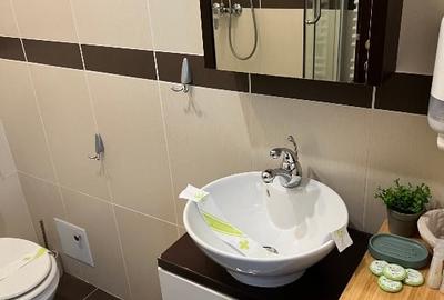 Apartament de vacanță pârtia CLĂBUCET - 12