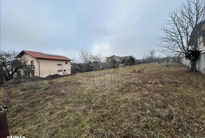 Teren de 3009 mp, în Păulești - 2