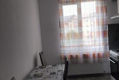 Apartament cu 2 camere decomandat în Stana - 2