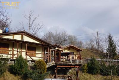 Asamblu rezidential, 3 case, anexe, teren 1 ha - 5