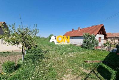 De vanzare 1218 teren intravilan, cu utilitati si asfalt, Oarda de Jos - 3