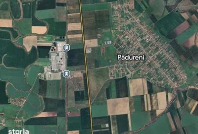 Teren de 7400 mp, în Pădureni - 1