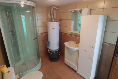 Casă cu 4 camere în Topleț - 4