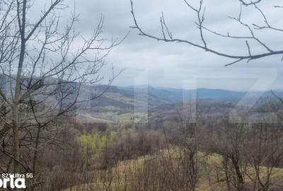 Teren de 3781 mp, în Izvoarele - 6