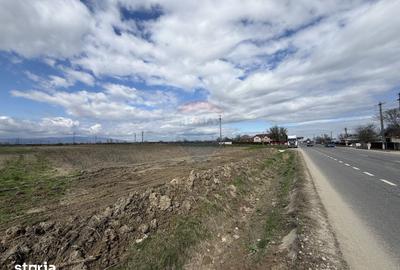 Teren de 9431 mp, în Garoafa - 4