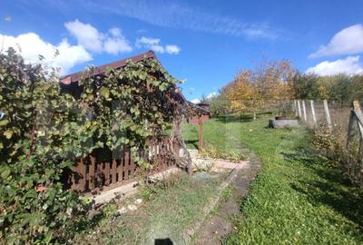 Cabana cu teren intravilan de 10 ari situat in Sigmir - 4