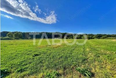 Teren de 712 mp, în Cisnădioara - 3