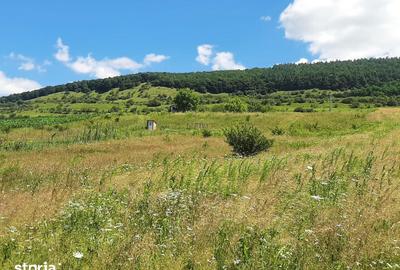 Teren de 3095 mp, în Tureni - 3