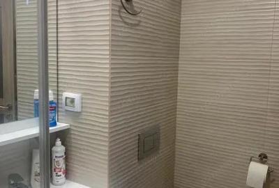 Apartament cu 3 camere decomandat, mobilat în Calea București - 14