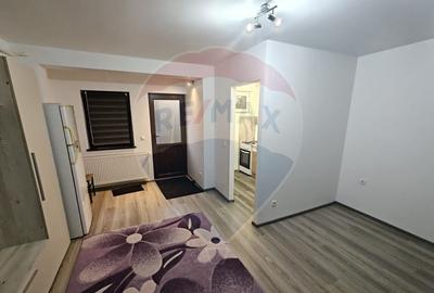 Apartament cu o camera de inchiriat Vlad ?epe? - 4