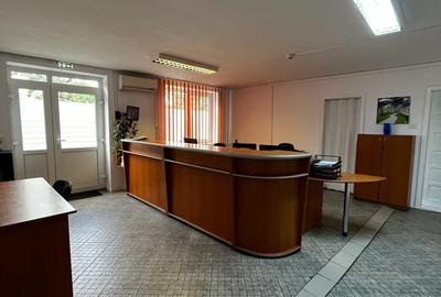 Spatiu industrial productie/ depozitare, Timiș - 38