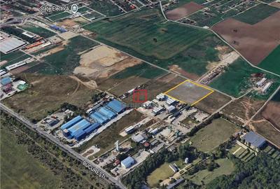 Teren de 15000 mp, în Domnești - 3